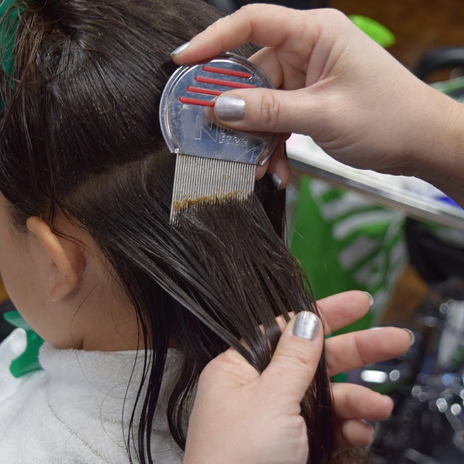 a child with brown hair parted and the bottom section has someone running a nit removal comb through the hair.